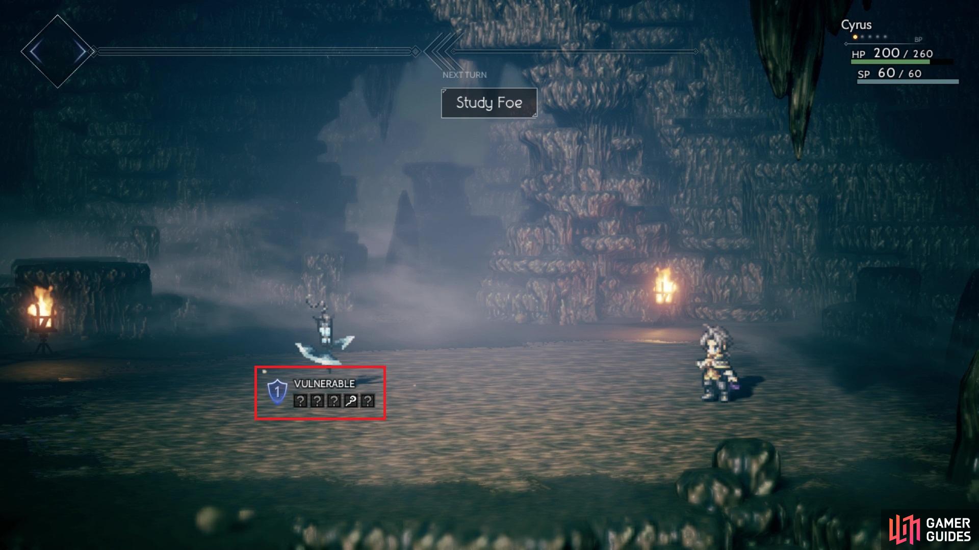The Shield Points and weaknesses are shown under the enemy sprite