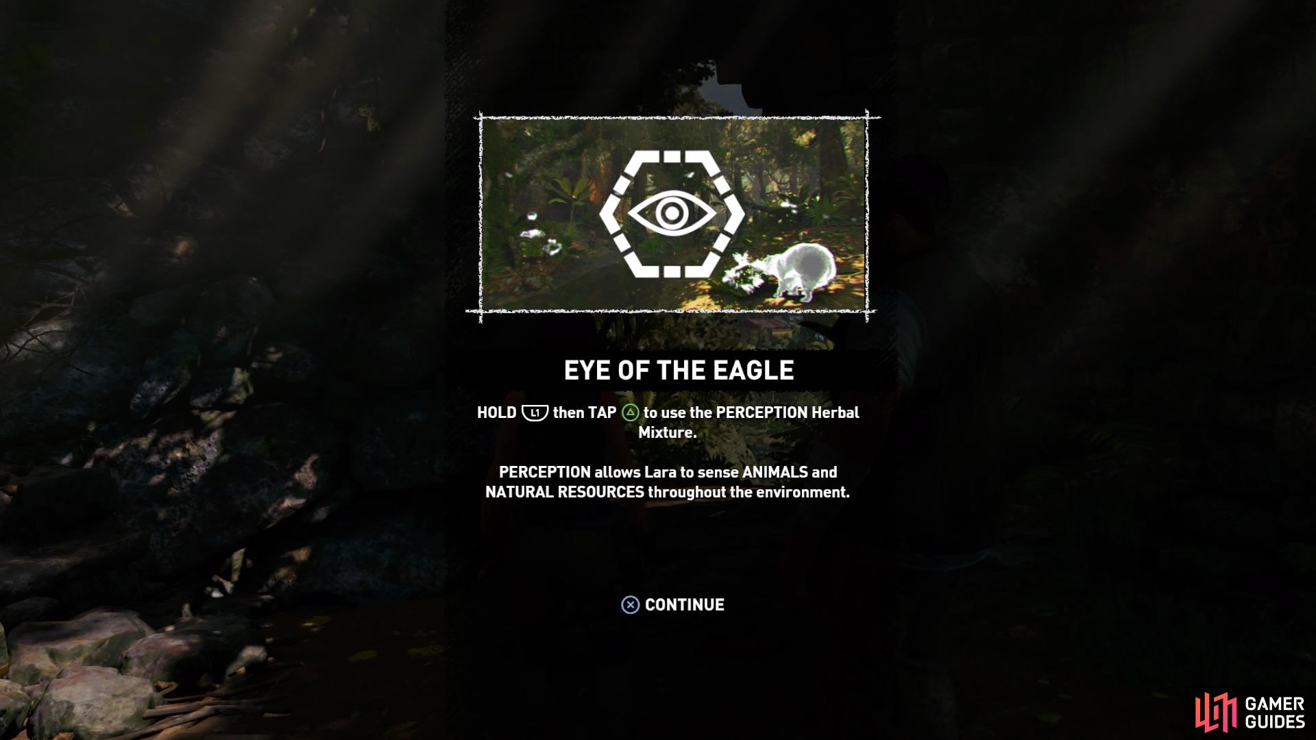 Gain the Eye of the Eagle Skill