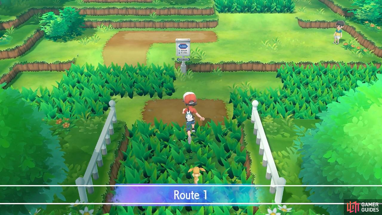 Here's the one and only Route 1, in the Kanto region at least.