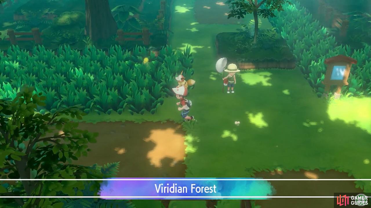This verdant forest is chock full of new Pokémon waiting to be caught.