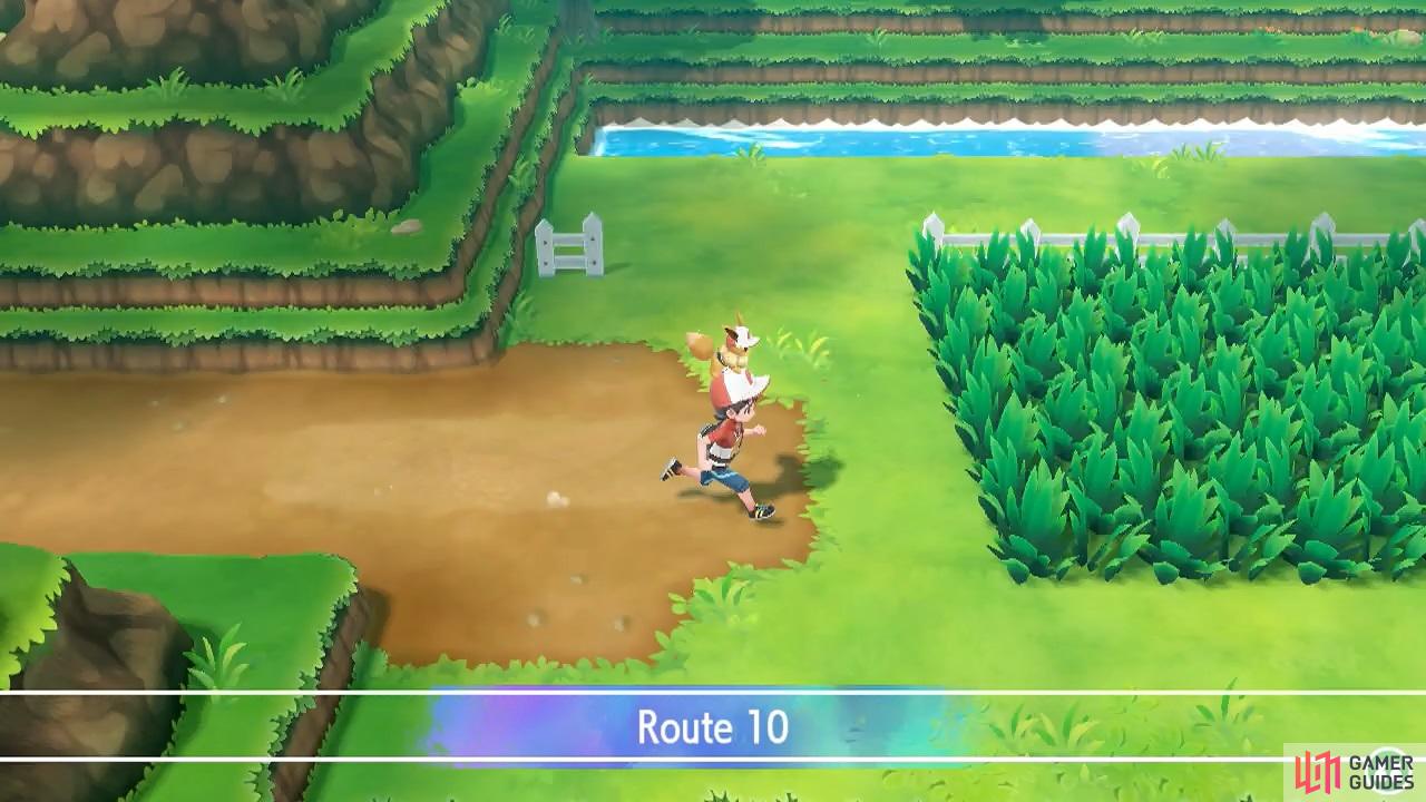 Pokemon Let's Go Onix  Moves, Evolutions, Locations and Weaknesses