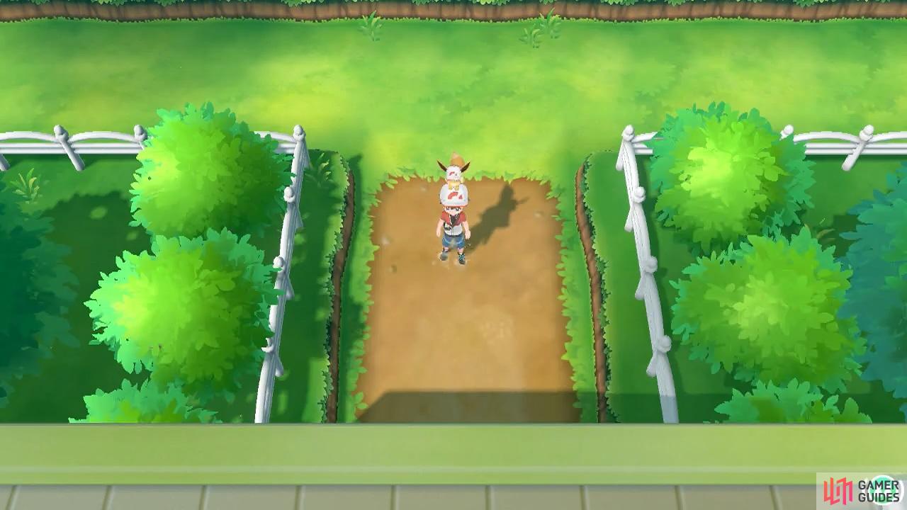 POKEMON TOWER DEFENSE WALKTHROUGH - CELADON CITY GYM 