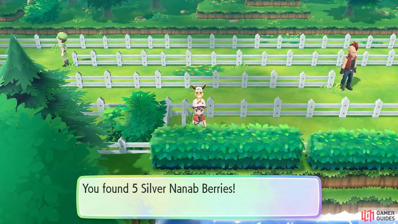 The silver berries are obviously more effective than normal ones.