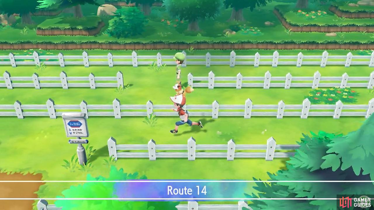 Route 14 begins rather abruptly.