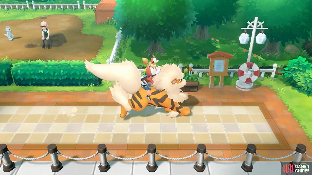 Life doesn't get much better than riding on top of an Arcanine.