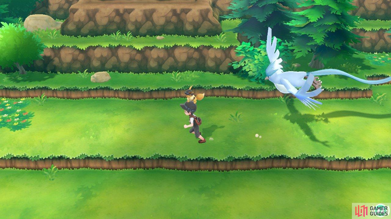 Buddy Ride Pokemon Travel Tips Gameplay Pokemon Let S Go Pikachu Let S Go Eevee Gamer Guides