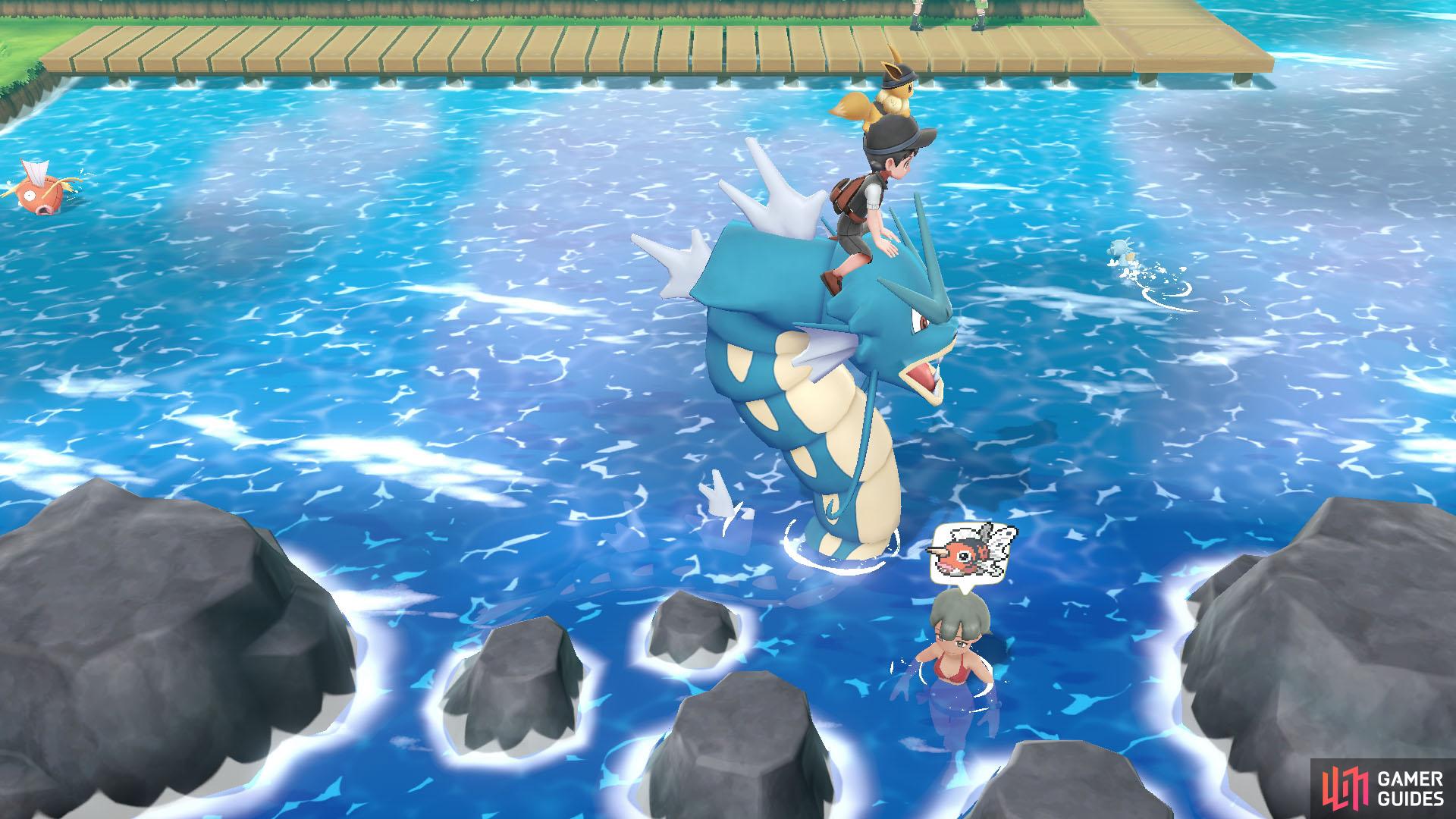 119 Seaking - Route 13: In the water towards far south. Right near the outer rocks. 