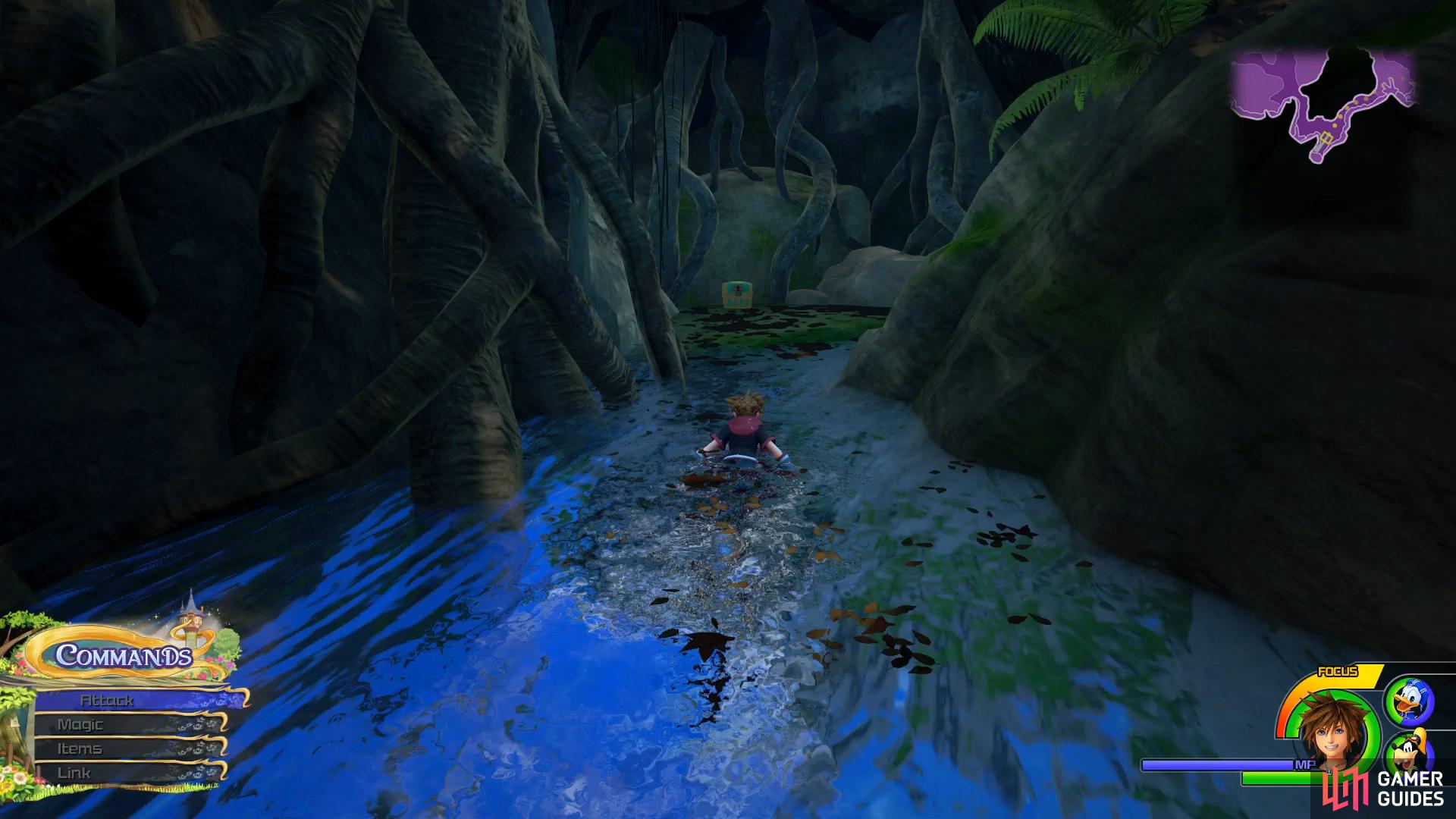 take the western path through the water to discover this chest.