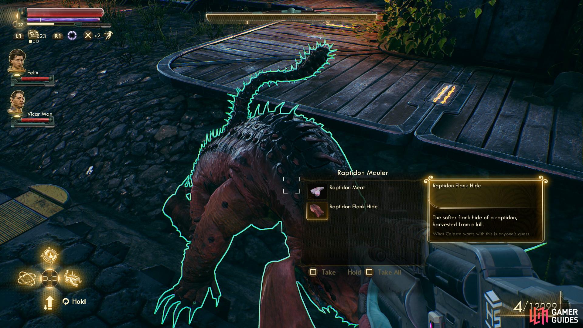 Raptidon Flank Hide