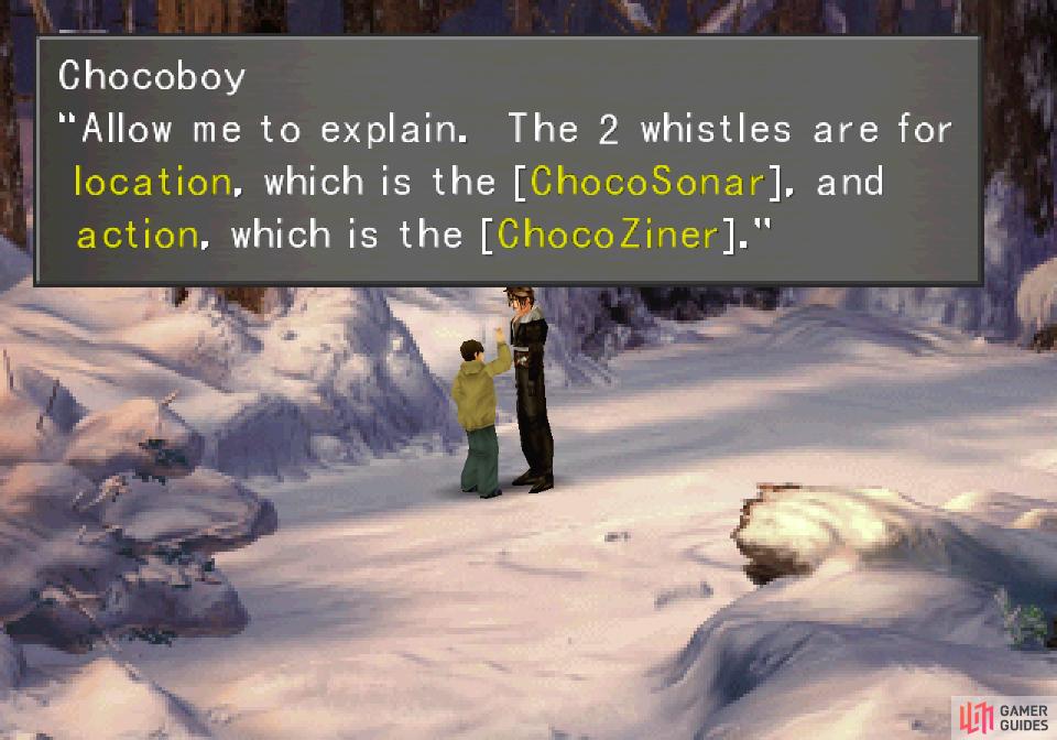 Talk to Chocoboy to learn how to catch chocobos.