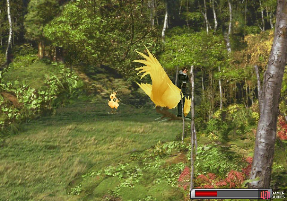 then use the ChocoZiner to get the chocobo to dig for you
