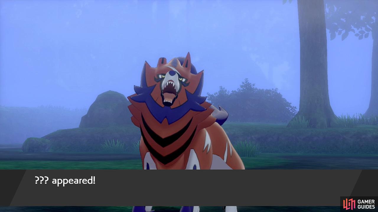 Pokémon Sword and Shield Slumbering Weald - available Pokémon, items and  trainers