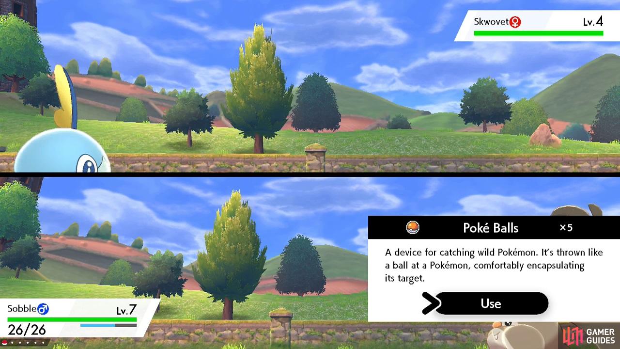 Pokemon Sword and Shield Wild Area brings co-op open world