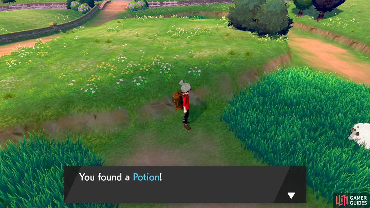 Pokemon Sword and Shield - Gameplay Walkthrough Part 1 - Galar