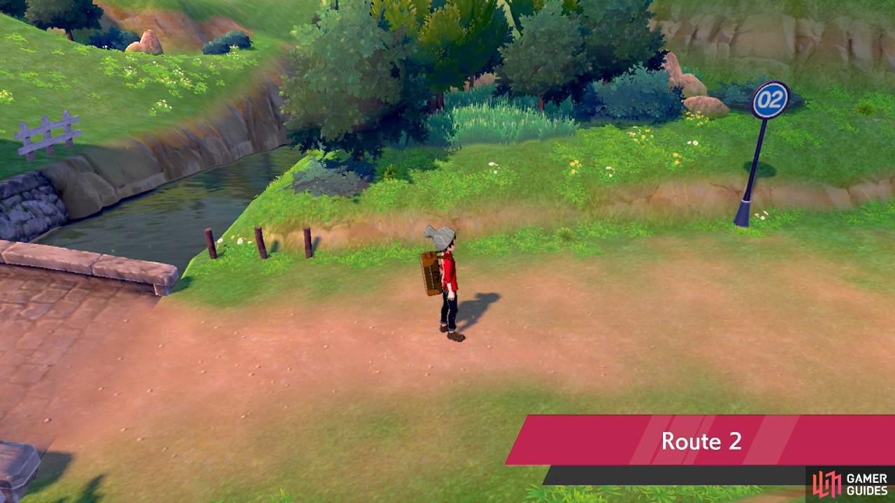 There's more Pokémon to catch here–and trainer battles too!