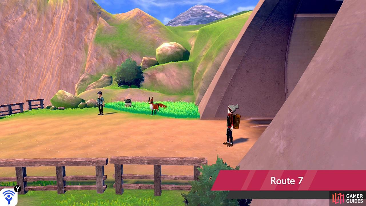 Route 7 - Pokemon Sword and Shield Guide - IGN