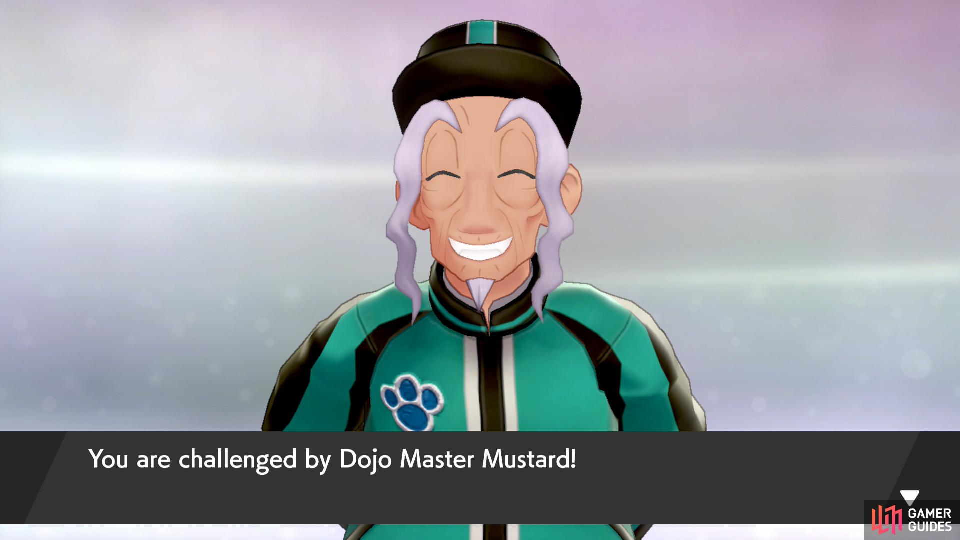 Pokemon Master Journeys to add Sword & Shield DLC, but not what