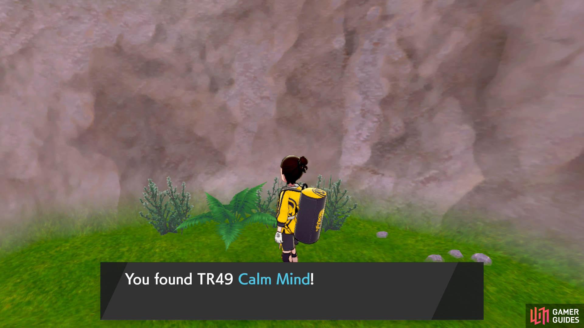 Calm Mind is a potent status move that boosts the user's Special Attack and Defense stats.