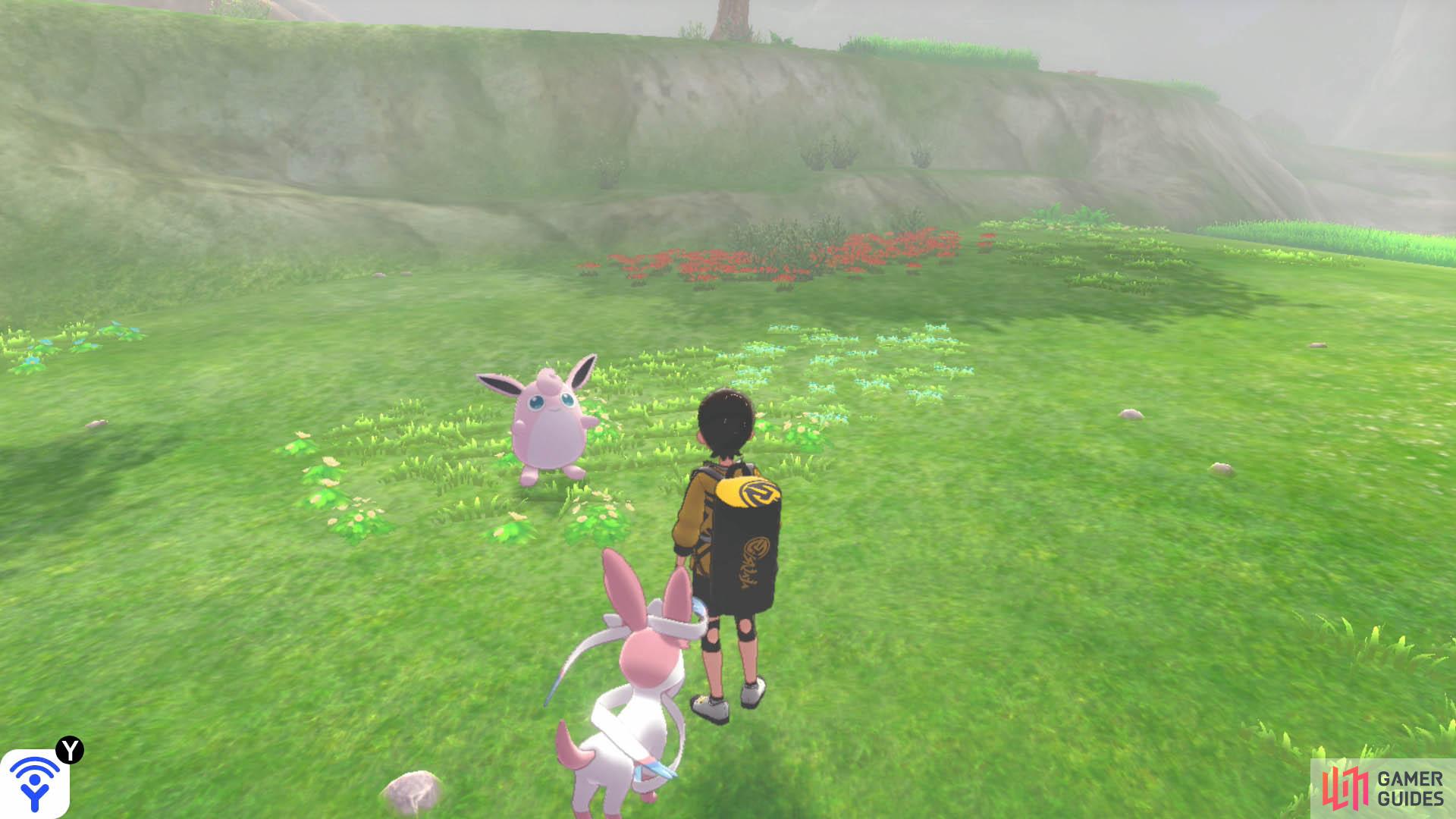 Grab yourself a Wigglytuff when there's fog hanging in the area.