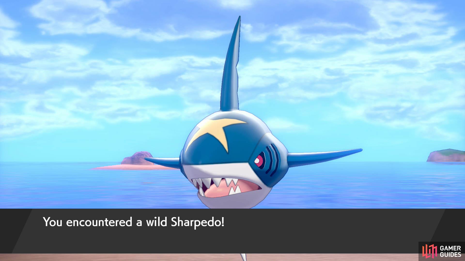 There are multiple Sharpedo spawn areas in the sea. Once you enter them, a Sharpedo will start to chase you.