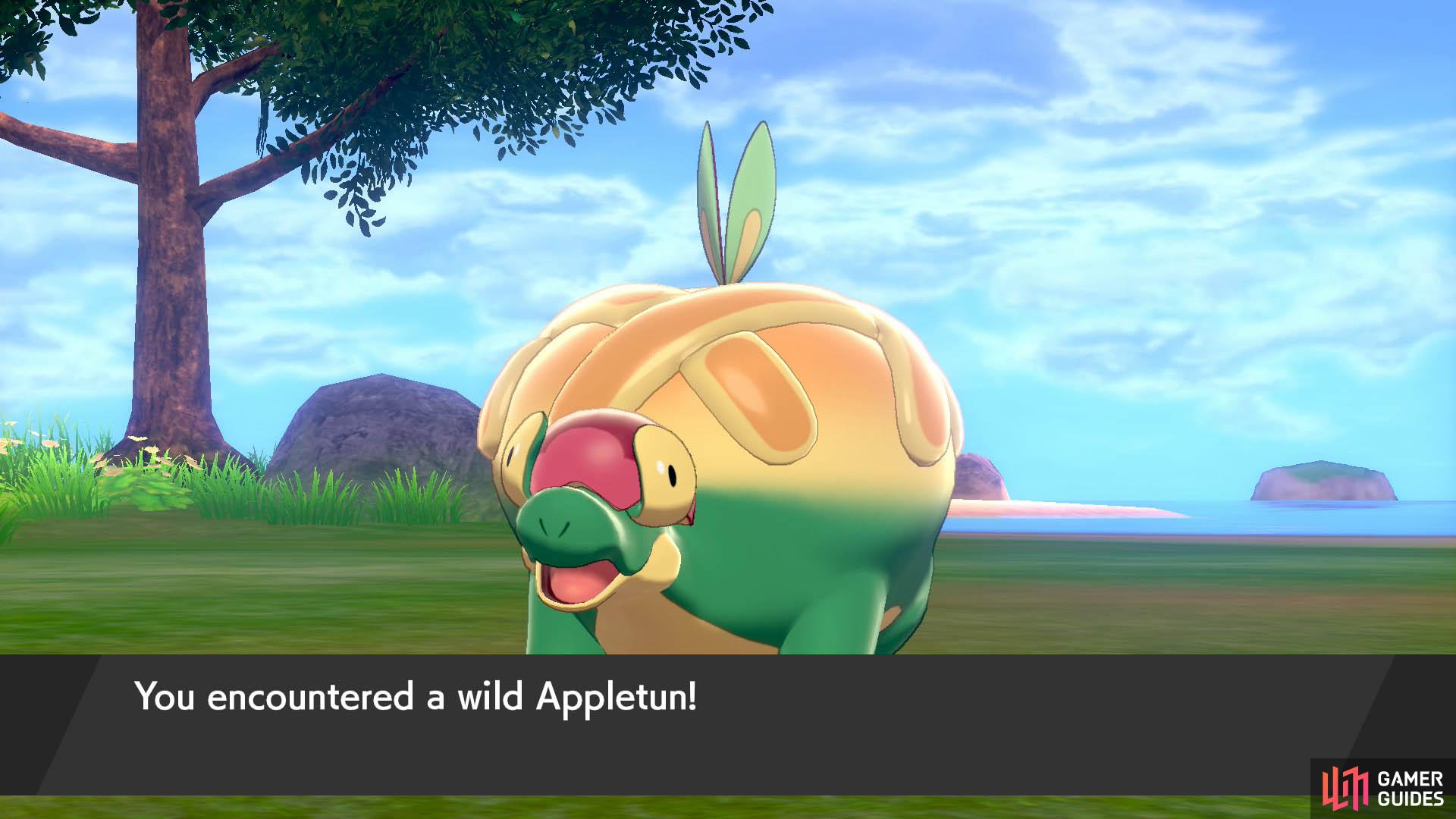 All 34 Rare Overworld Spawns in Isle of Armor - Pokemon Sword and