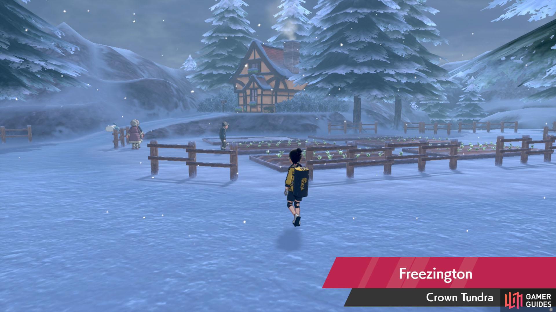 Pokémon Sword and Shield: The Crown Tundra walkthrough