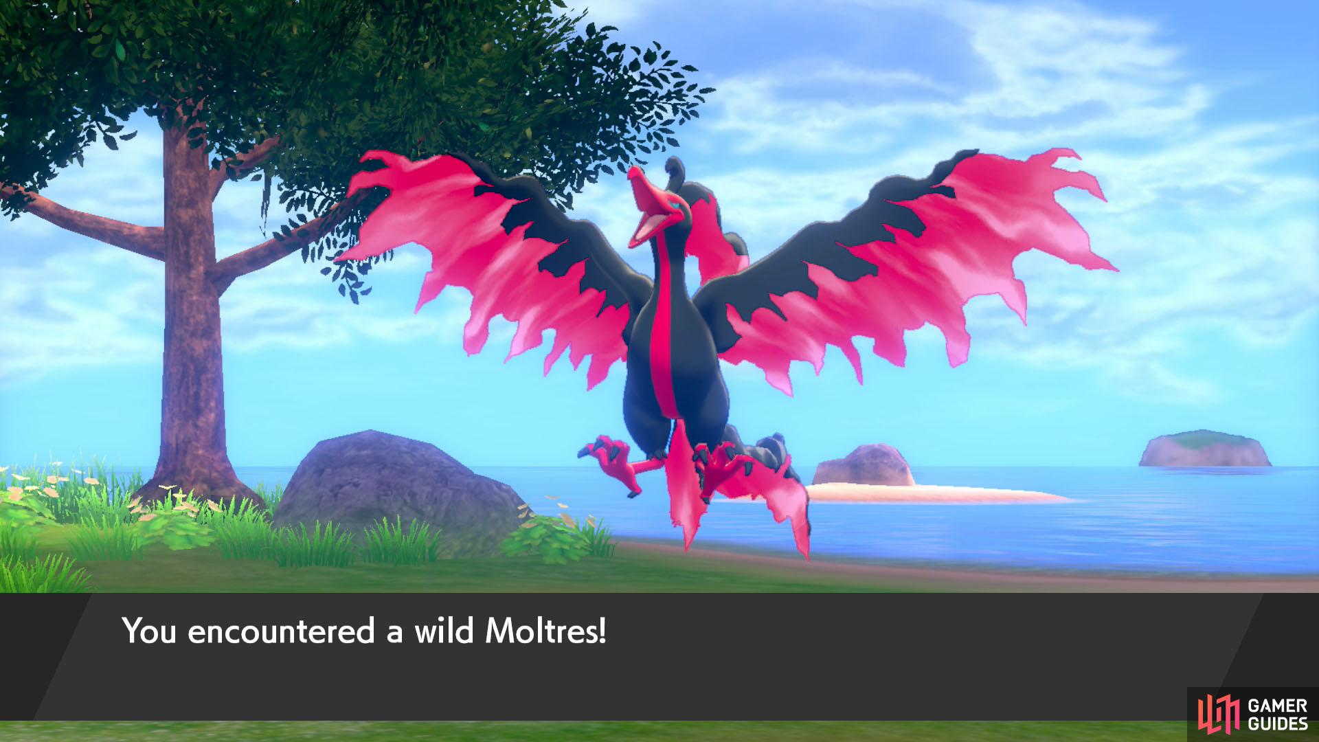 MOLTRES VS GALARIAN MOLTRES ▻ Pokémon Form Fight (Sword & Shield Crown  Tundra) 