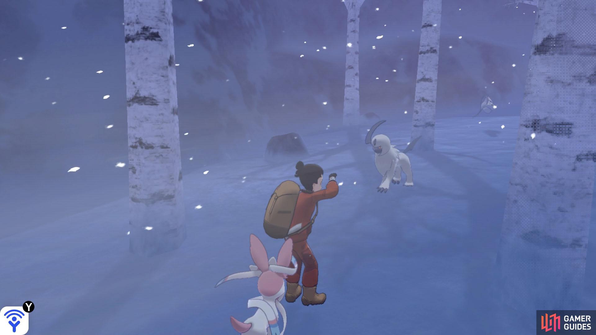 Absol seem to be attracted to snowstorms.