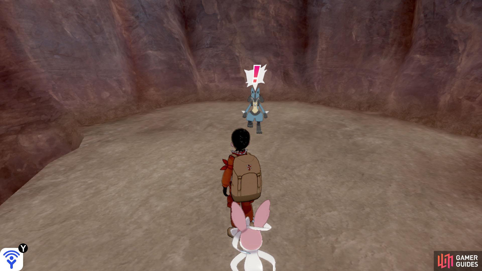 You haven't lived until you've been chased by a Lucario.