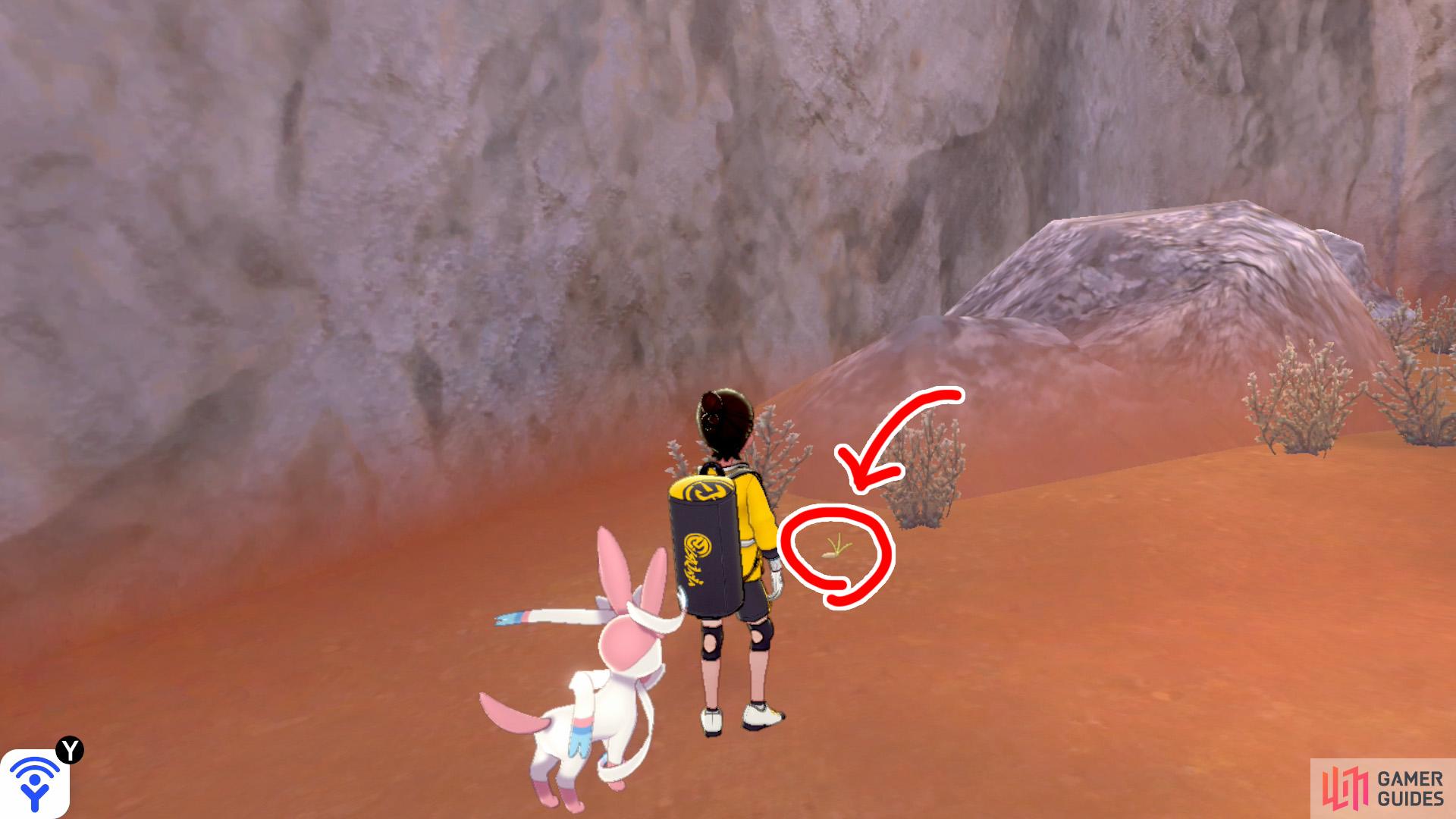 3/10: From Diglett 2, continue following the cliff wall in a clock-wise direction. Keep going until you reach a boulder in the corner of the zone. You'll go past two tall trees. Search near the vegetation below the boulder.