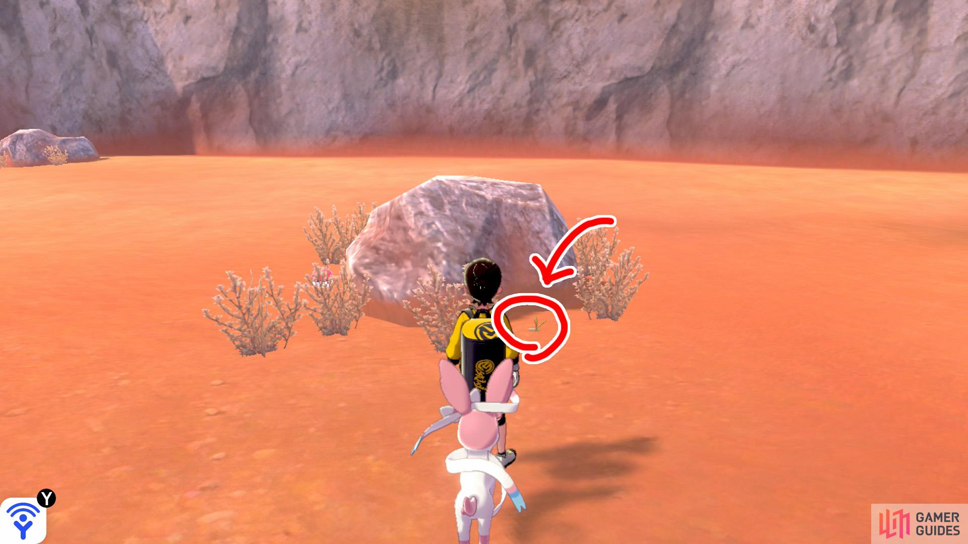 10/10: From Diglett 9, if Warm-Up Tunnel is still on your left, there should be a boulder and vegetation directly ahead, away from the cliff wall. Go over there and check around the right for the final cause of migraine.