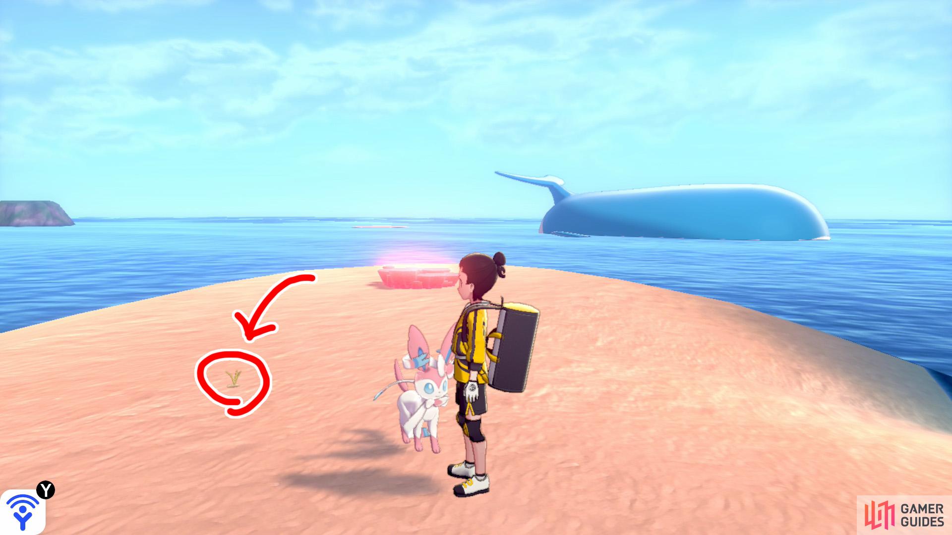 1/11: Start from Armor Station in the Fields of Armor (fly there, if possible), then enter the ocean straight ahead. Head towards the first islet that's ahead and slightly to the left. Turn left a bit and swim to the longer islet up ahead (with a Pokémon Den). It's in the middle of that islet.
