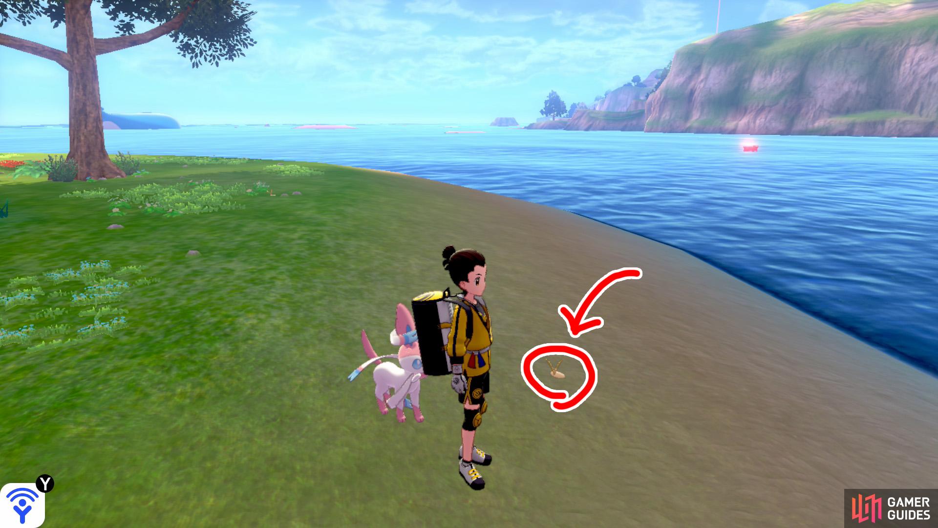 2/11: From Diglett 1, turn left so you're parallel to the mainland. Head to the far-off island with three trees (it might look like two trees). Upon arrival, travel clock-wise around the island. It's in the sand, on the side of the island that's facing the mainland.