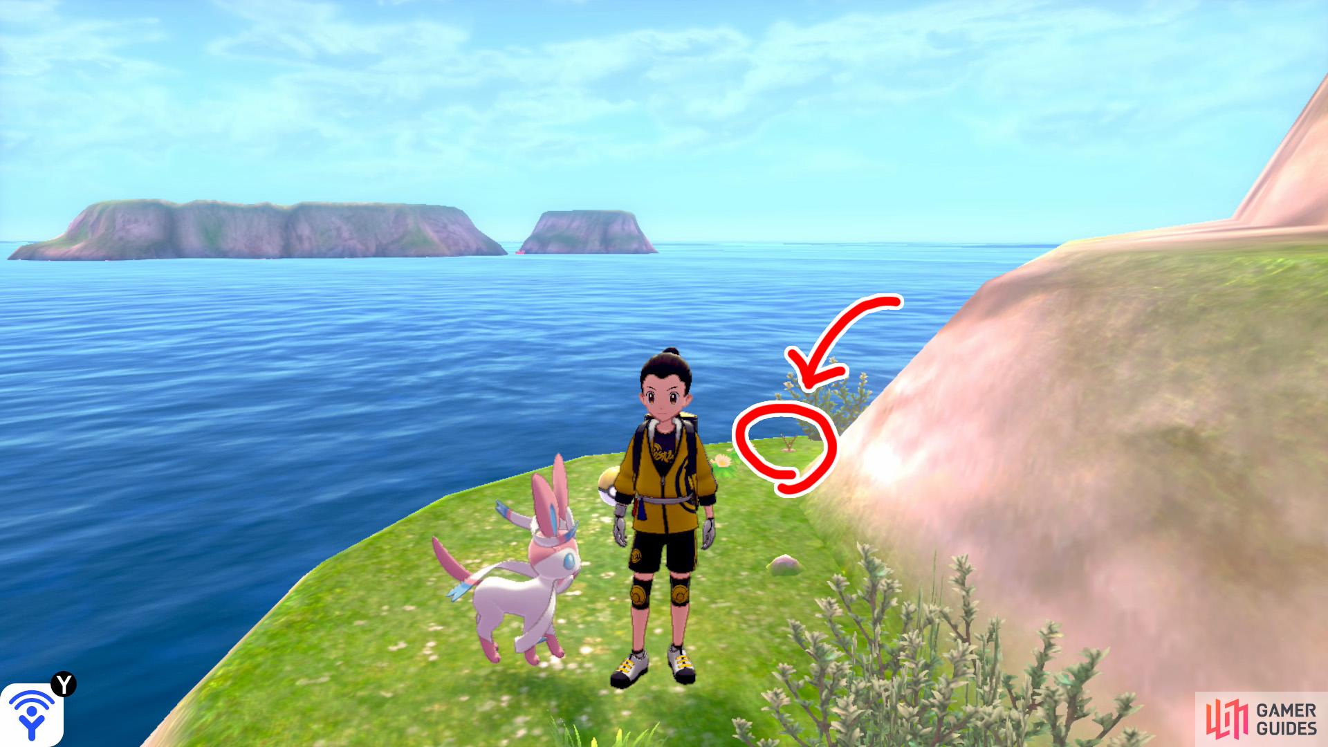 4/7: From Diglett 3, head back towards the shore, but turn right while facing the ocean/mainland. Head into the narrow path, where the Pokémon Den is. The final Diglett on this island is at the end of this path, near the gold item ball.