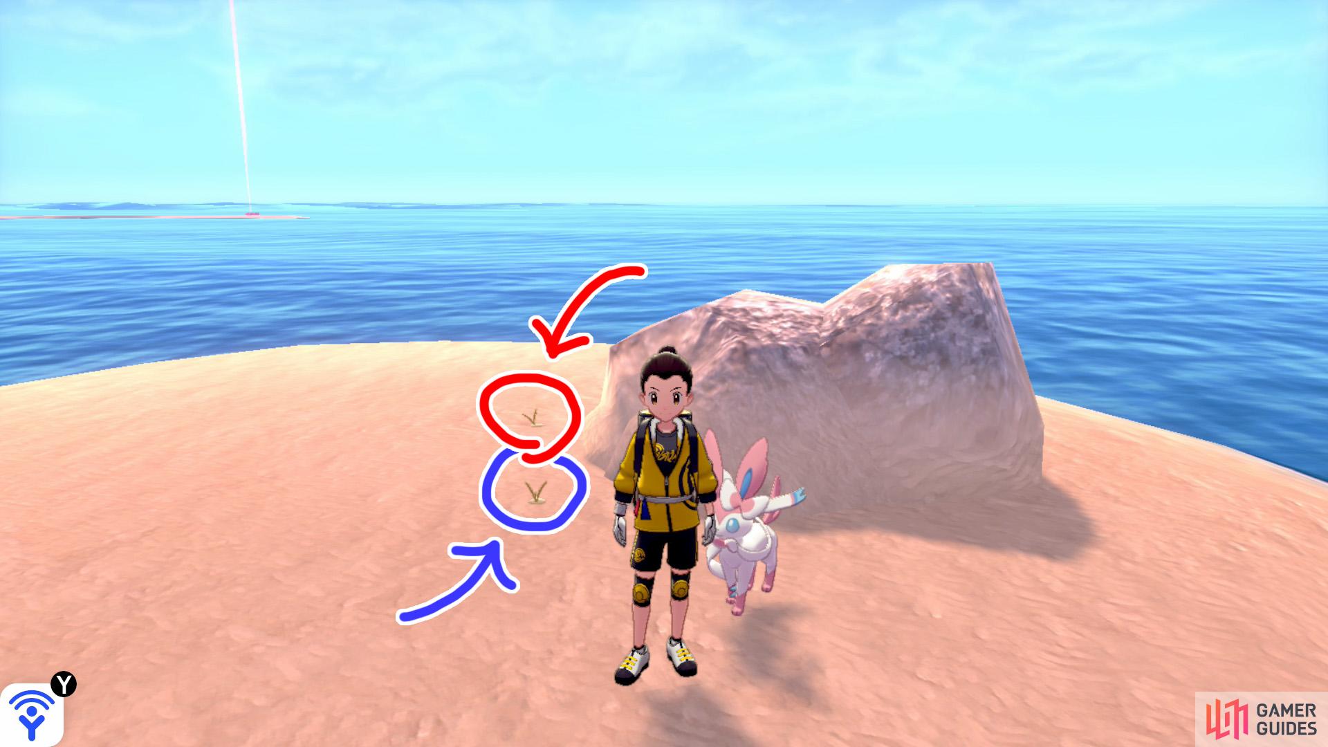 5/7 and 5/6: From the island where Diglett 1~4 are, head for the shore and face the elongated pair of islands (on the right, if you're facing the mainland). To the left of the pair of islands is an islet that has a boulder (it might look like a blob from here). Swim to the islet. Search to the left of the boulder to find two Diglett.