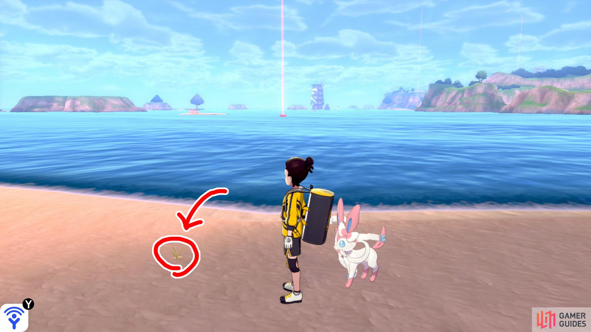 7/7: From the islet where Diglett 5 and 6 are, turn so the mainland is on your left. Directly, there's a long, sandy island with a boulder on one end and a Pokémon Den on the other. Swim towards that island. Check around the middle of this island.