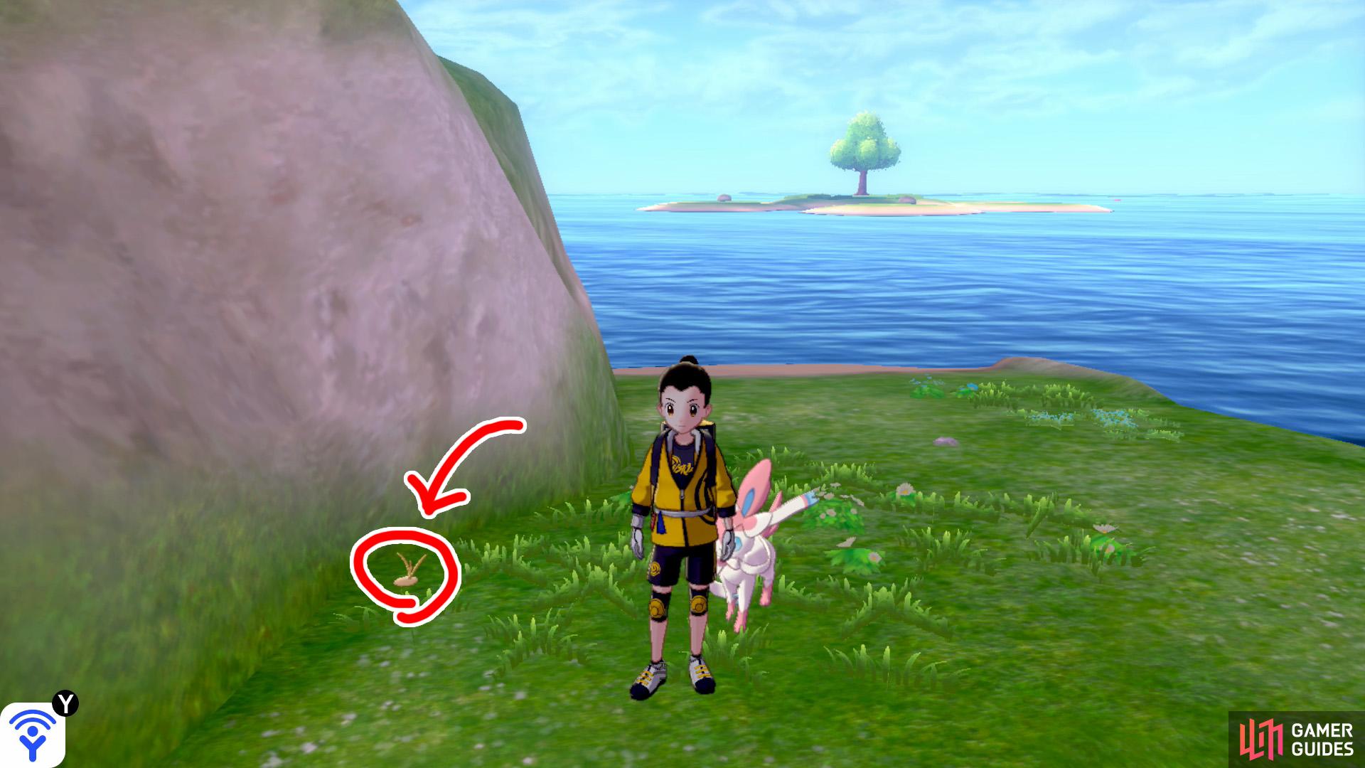 1/3: Start from the Tower of Waters in Challenge Beach. With your back to the entrance, turn left and swim into the water. Go straight ahead, while keeping close to the mainland on the right. When you're parallel to Honeycalm Island, there's a secluded shore. It's burrowed to the right of the Pokémon Den here.
