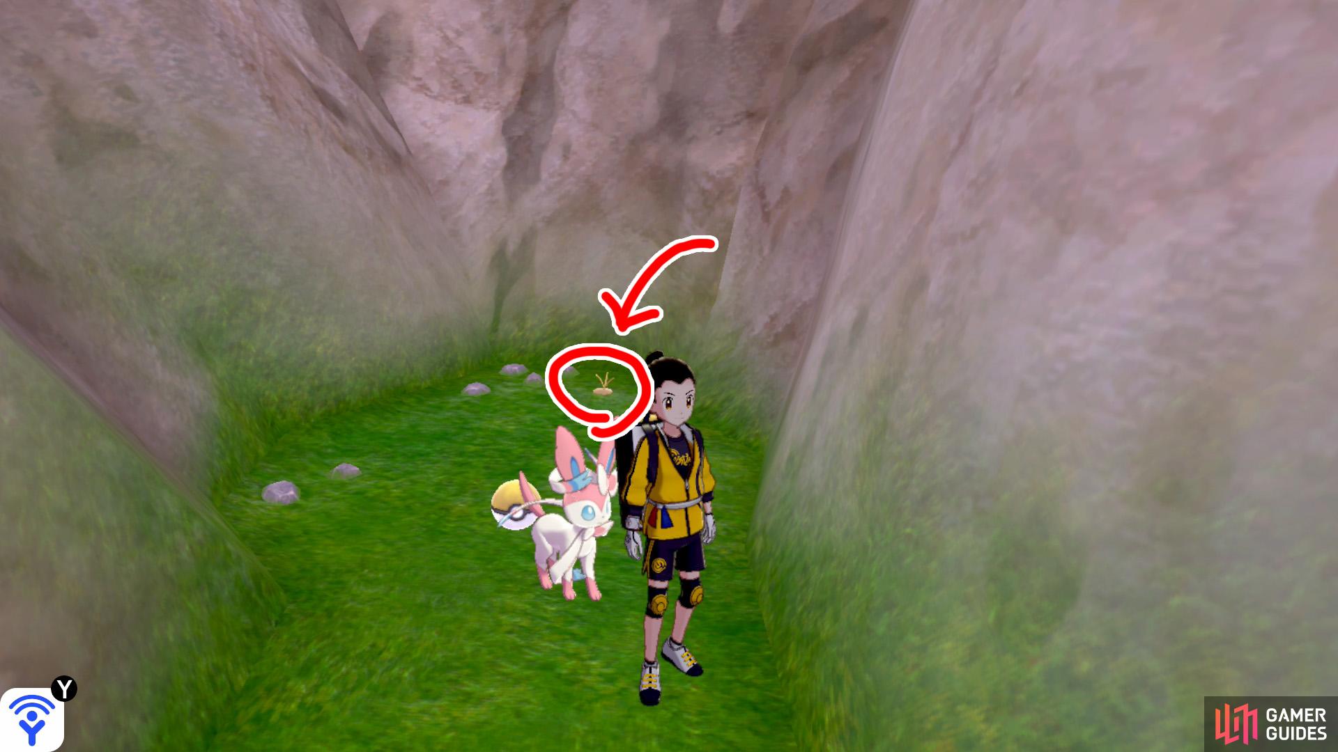 2/3: From Diglett 1, go further into the enclosed area. It's next to some pebbles just past the gold item ball.