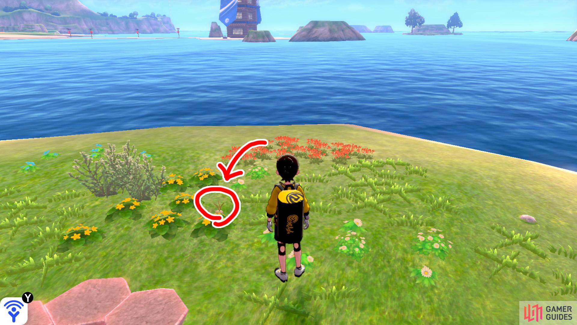 3/11: From Diglett 2, go clock-wise around the island to the second "petal". Go up to the Pokémon Den and face the Tower of Waters. It's on the right side of the yellow flowers just above the den.