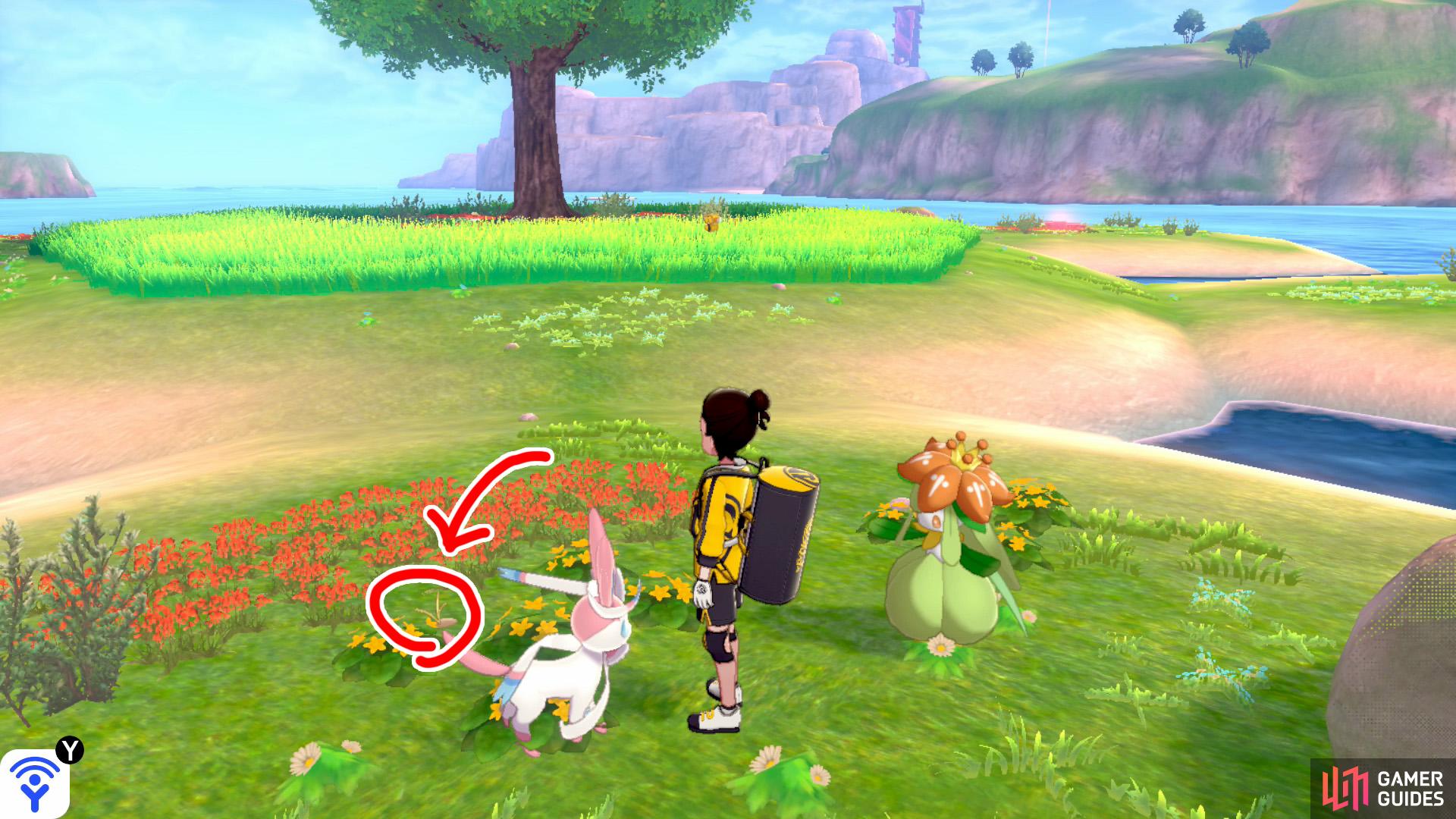 4/11: From Diglett 3, head for the third "petal". There should be a boulder here, but the boulder's a red herring. Near the middle of the island, check where the red and yellow flowers meet.