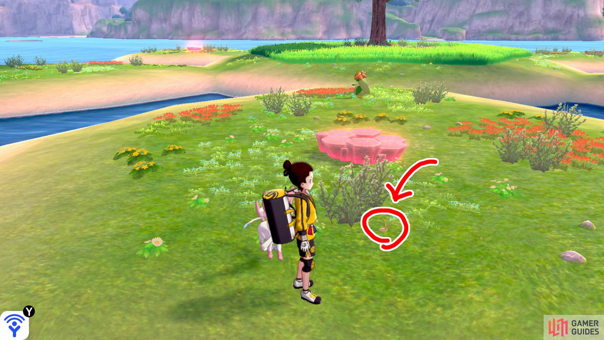 5/11: From Diglett 4, continue to the fourth "petal". This one's next to some shrubbery past the Pokémon Den, away from the island's centre.