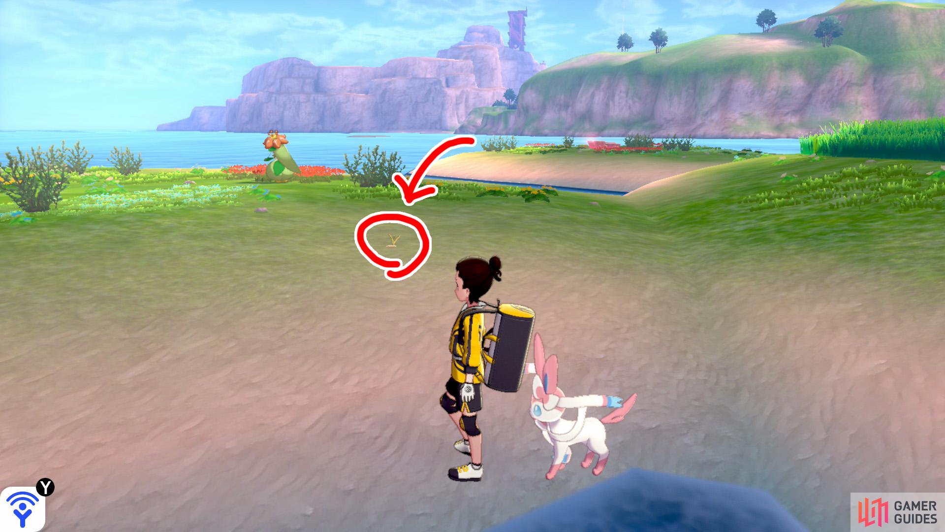 6/11: From Diglett 5, move onto the fifth "petal". The first one here is located in the middle of the sand, close to the island's centre.