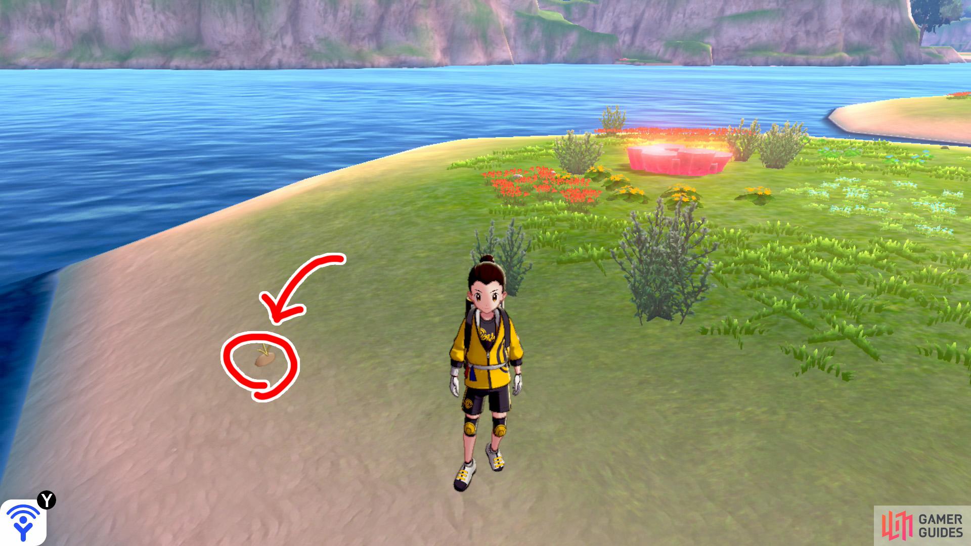 8/11: Go to the final "petal". This one's also on the shore, along the left side if your back is to the island's centre. Only a few more to go! Wahoo!