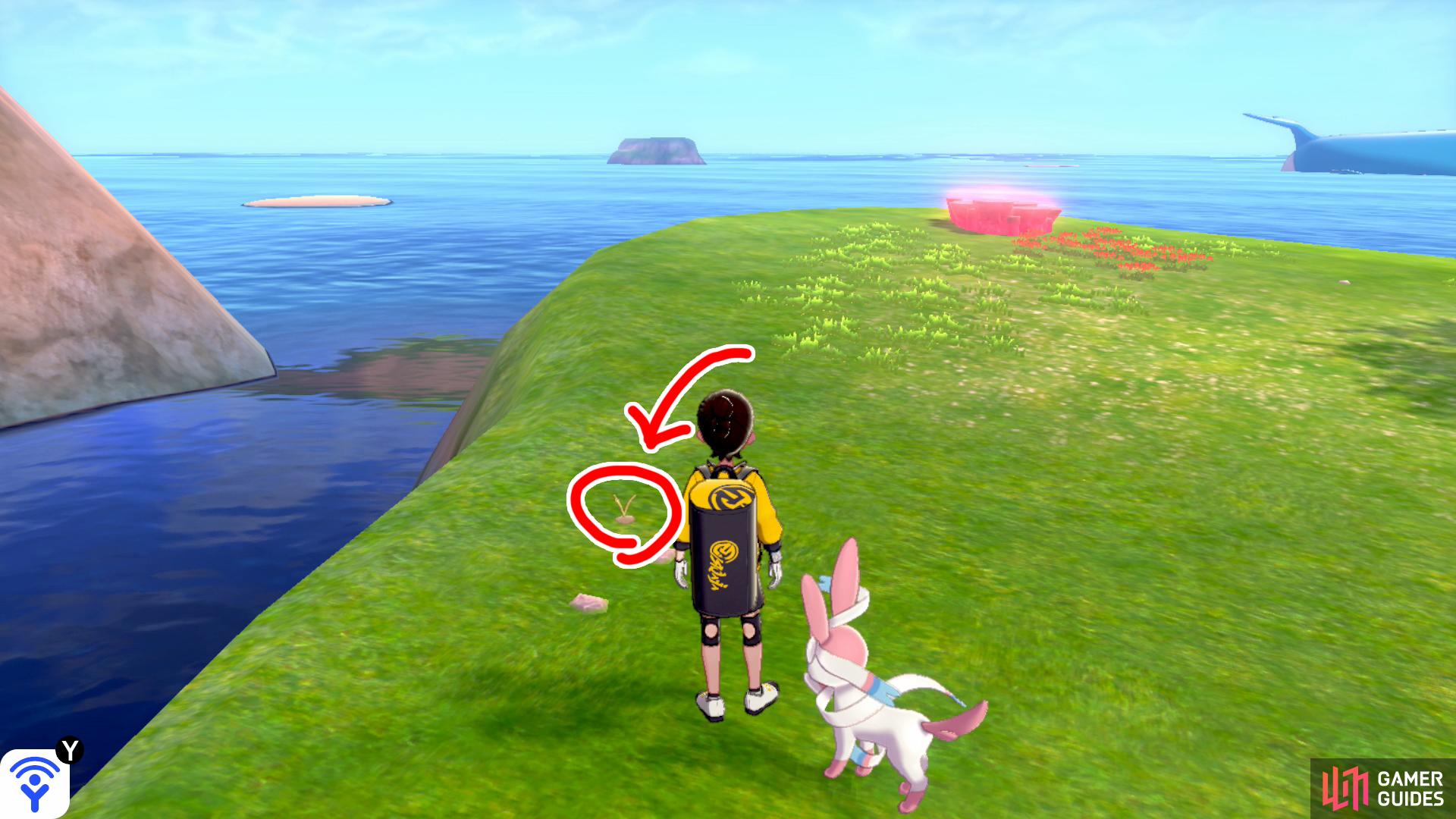 7/18: From Diglett 6, go to the Pokémon Den by the cliff edge, then follow the river left. Next to some small pebbles, just before the tall grass.