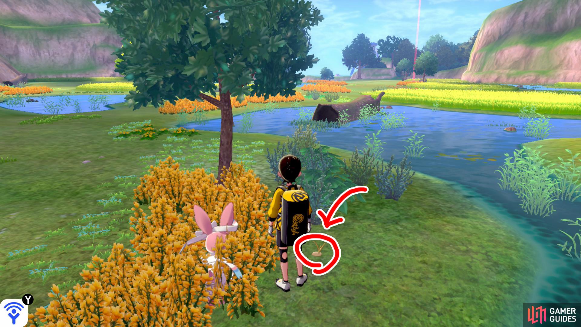 2/20: From Fields of Honor entrance, head towards the central pool directly ahead. This Diglett's behind the tall yellow grass that's in front of the pool, near the Pokémon Den.