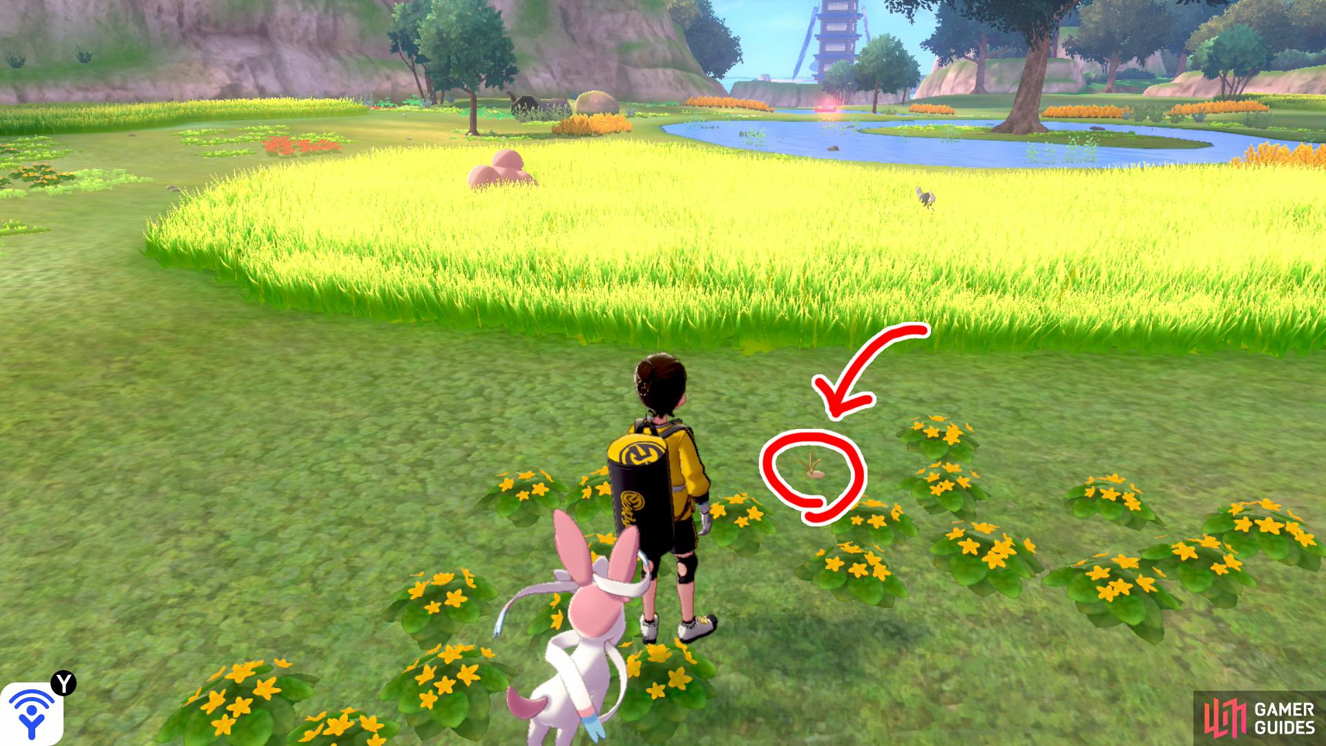 6/20: From the Fields of Honor entrance, turn left and go past the skinny tree. Keep to the right of the tall grass on the left. As the tall grass ends, there's a shallow pool on the right. Check the yellow flowers above the pool.