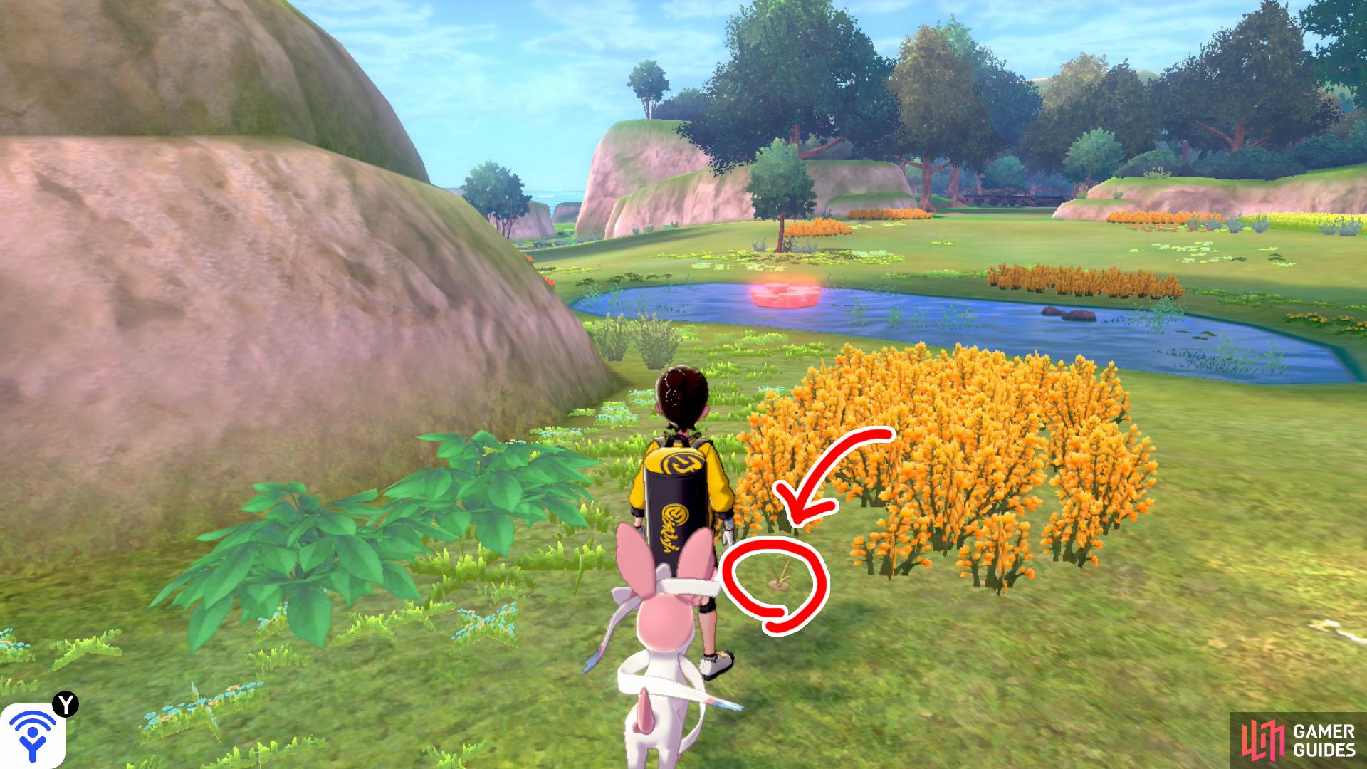 8/20: From Diglett 7, face the log/cliff wall. Turn right and follow the wall. Go past the long stretch of tall grass and the tall vegetation on the left. Before the next shallow pool, search in front of the tall yellow grass.