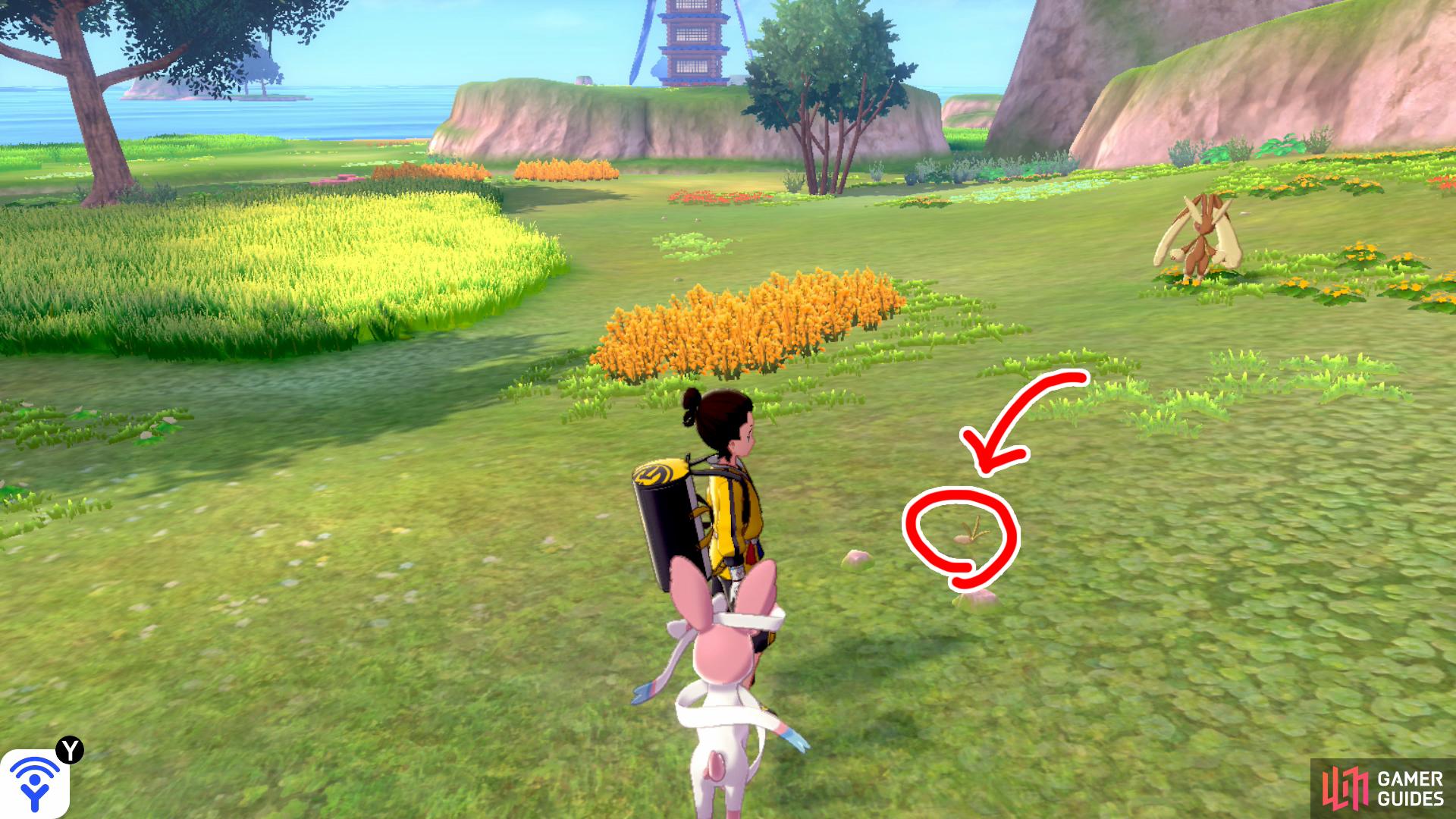 11/20: From Diglett 10, face the tower in the distance. There's some tall yellow grass on the left and another bunch on the right, further ahead. Go up to the second tall yellow grass and search the pebbles a few paces before it.