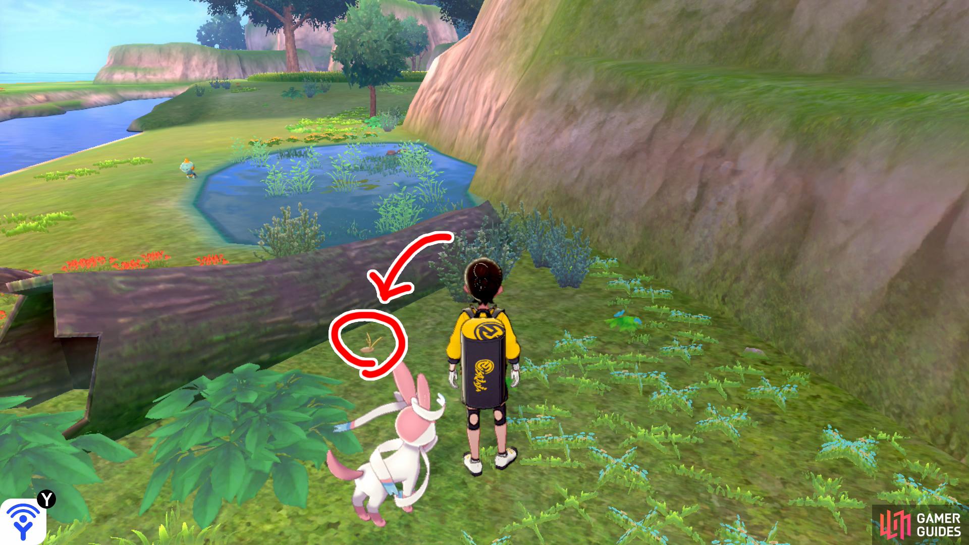 12/20: From Diglett 11, turn left (while facing the tower) and travel parallel to the cliff wall. As you get near Courageous Cavern, there's a shallow pool on the left side. Past the pool, look behind the fallen log.