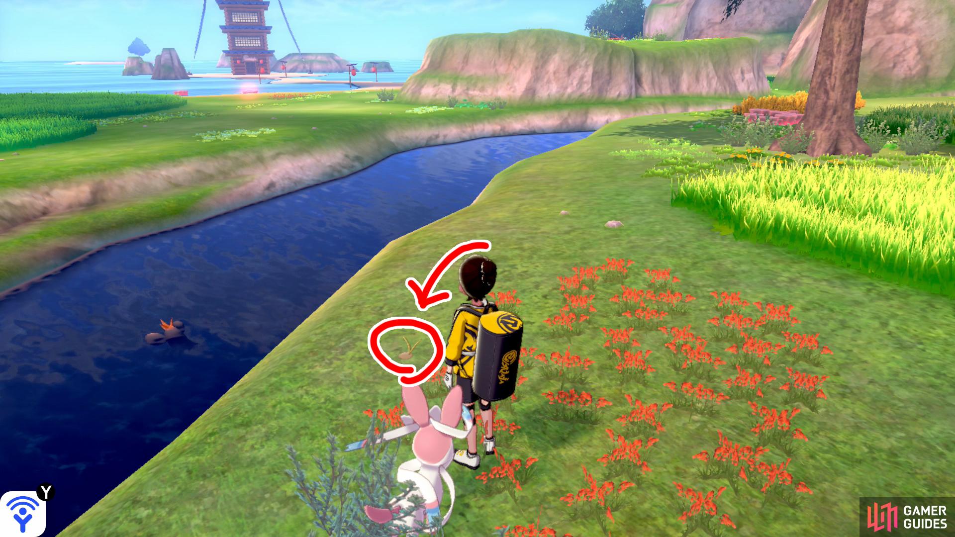 13/20: From Diglett 12, face the direction of the Forest of Focus (the cave should be behind you). Along the left side, there's low-lying land by the river. Walk past this section and search the red flowerbeds near the river.